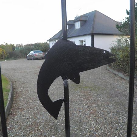 Padua Guest Accommodation Rosslare Rosslare Harbour Exterior foto