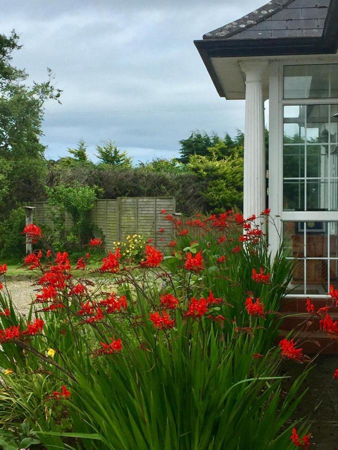 Padua Guest Accommodation Rosslare Rosslare Harbour Exterior foto